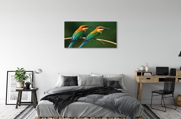 Tablouri canvas papagal colorat de pe o ramură