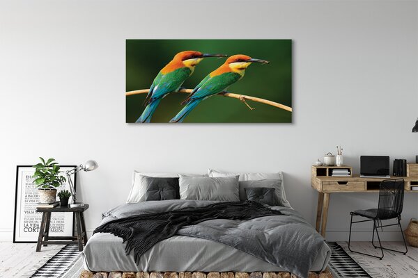 Tablouri canvas papagal colorat de pe o ramură