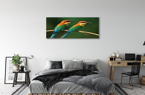 Tablouri canvas papagal colorat de pe o ramură