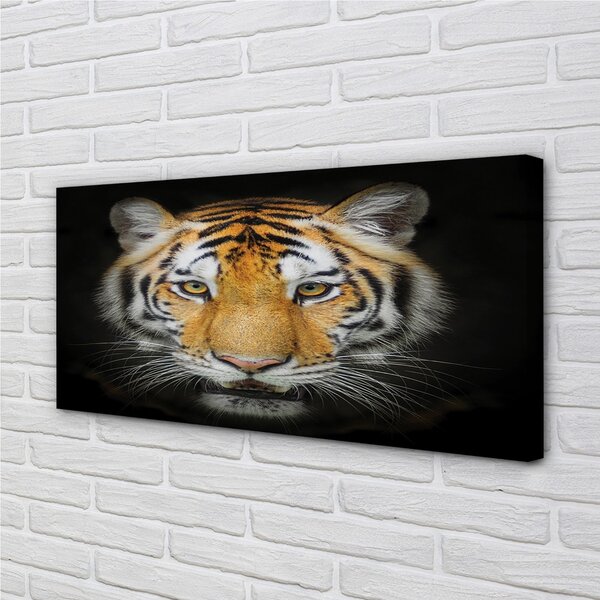 Tablouri canvas Tigru