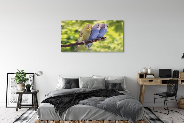 Tablouri canvas papagal colorat de pe o ramură