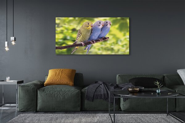 Tablouri canvas papagal colorat de pe o ramură