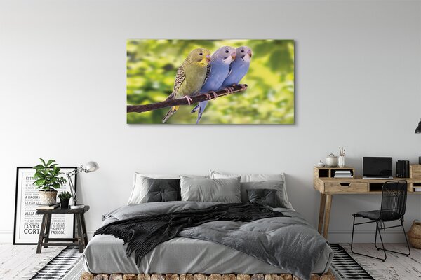 Tablouri canvas papagal colorat de pe o ramură