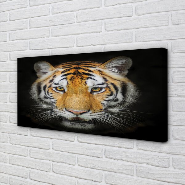 Tablouri canvas Tigru
