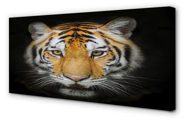 Tablouri canvas Tigru