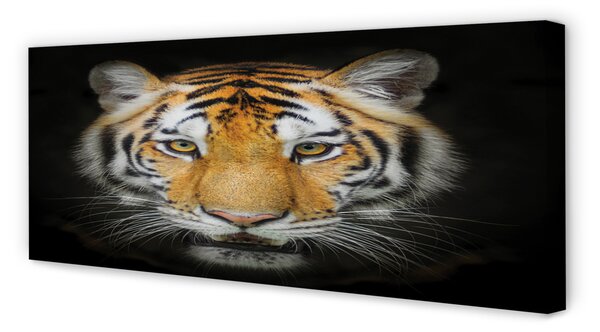 Tablouri canvas Tigru