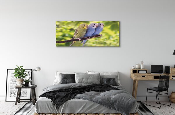 Tablouri canvas papagal colorat de pe o ramură