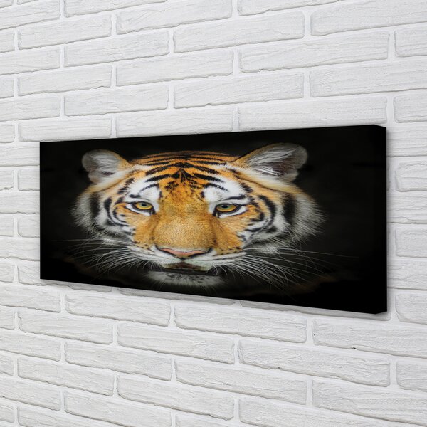 Tablouri canvas Tigru
