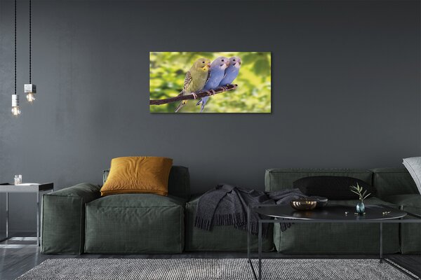 Tablouri canvas papagal colorat de pe o ramură