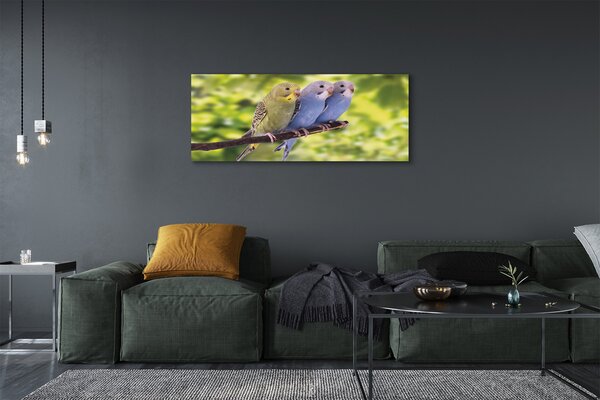 Tablouri canvas papagal colorat de pe o ramură