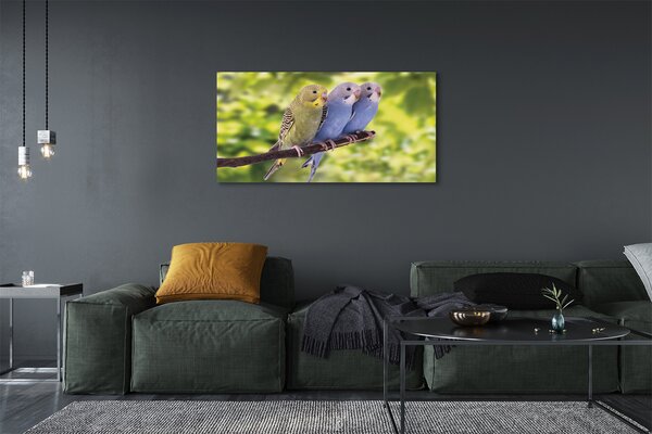 Tablouri canvas papagal colorat de pe o ramură