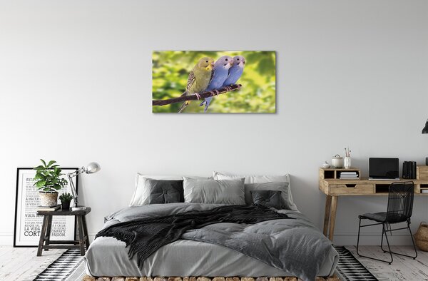 Tablouri canvas papagal colorat de pe o ramură