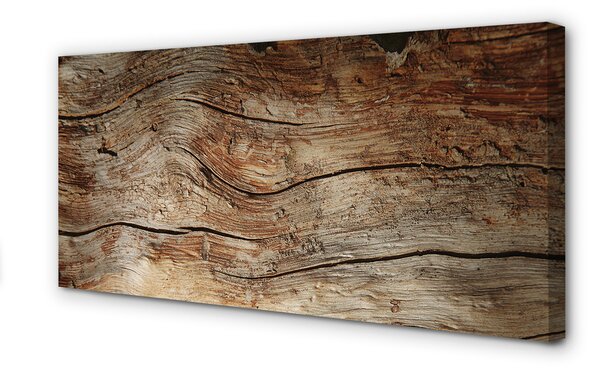 Tablouri canvas bord de cereale din lemn