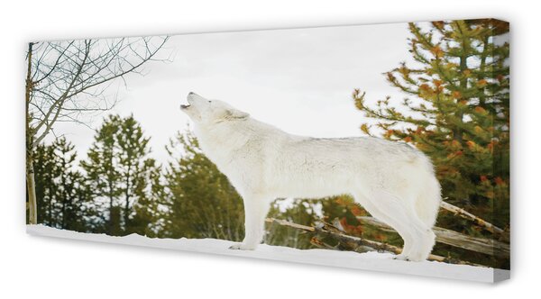 Tablouri canvas pădure de iarnă Wolf