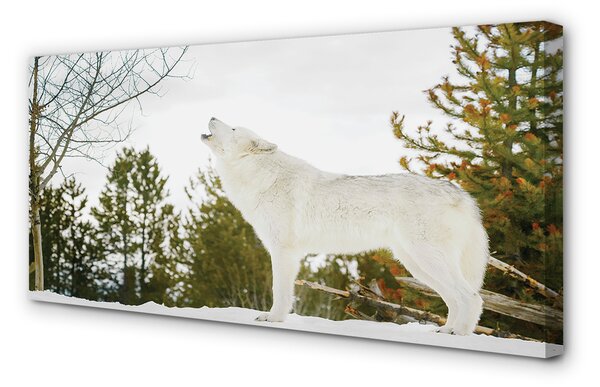 Tablouri canvas pădure de iarnă Wolf