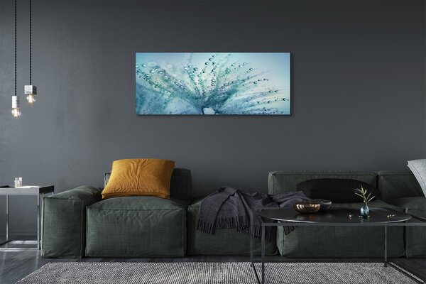 Tablouri canvas Picături păpădie macro