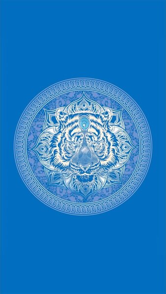 Set de plaja TIGER – prosop 100×180 cm si poncho 80×145 cm, albastru