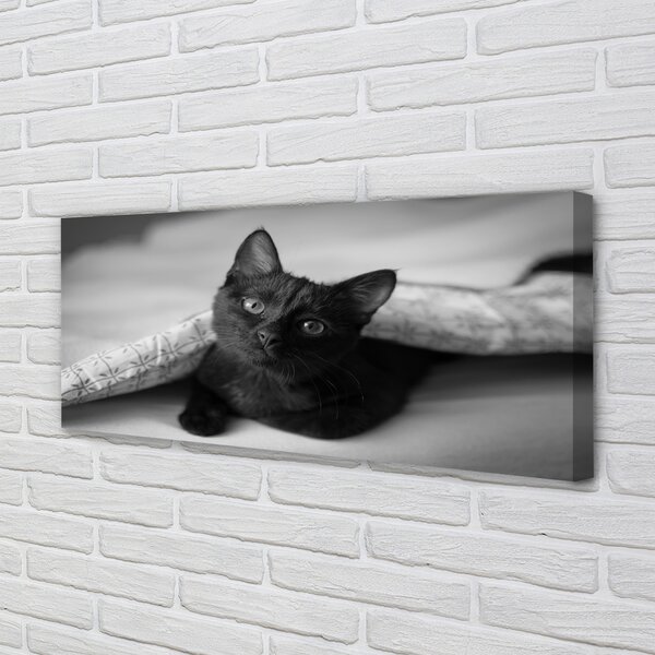Tablouri canvas Cat sub pătură