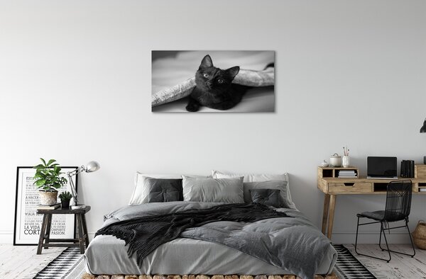 Tablouri canvas Cat sub pătură