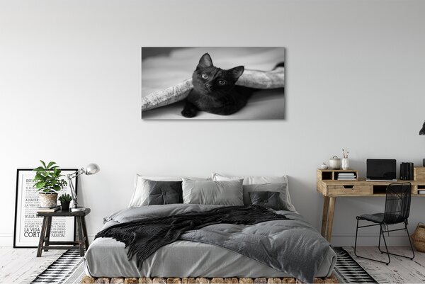 Tablouri canvas Cat sub pătură