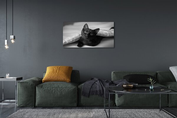 Tablouri canvas Cat sub pătură