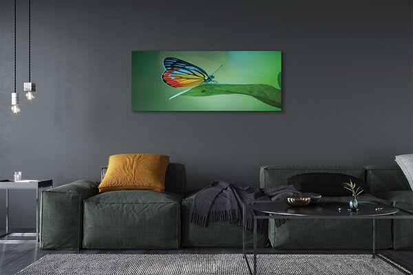 Tablouri canvas frunze fluture colorat