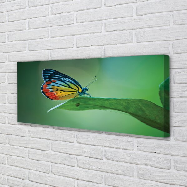 Tablouri canvas frunze fluture colorat