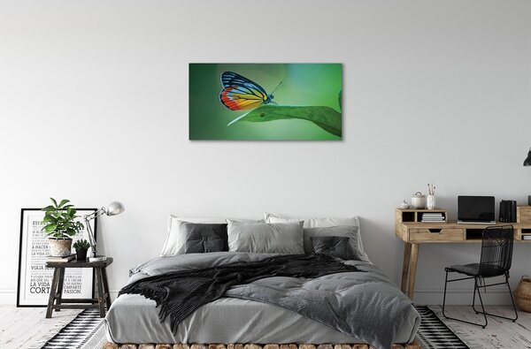 Tablouri canvas frunze fluture colorat