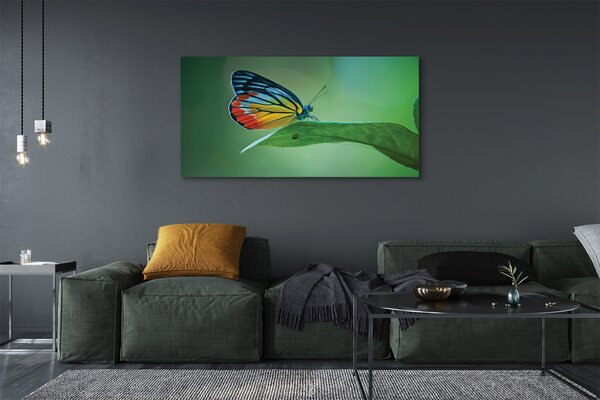 Tablouri canvas frunze fluture colorat