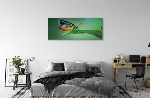 Tablouri canvas frunze fluture colorat