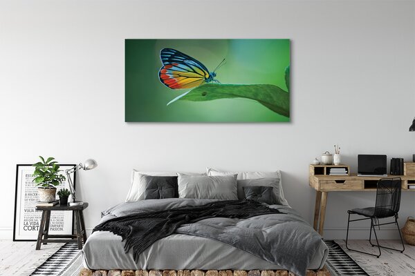 Tablouri canvas frunze fluture colorat