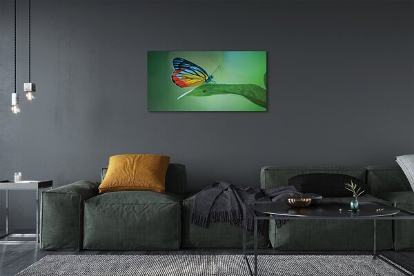 Tablouri canvas frunze fluture colorat