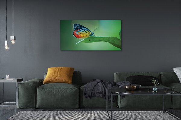 Tablouri canvas frunze fluture colorat