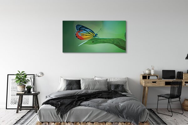 Tablouri canvas frunze fluture colorat