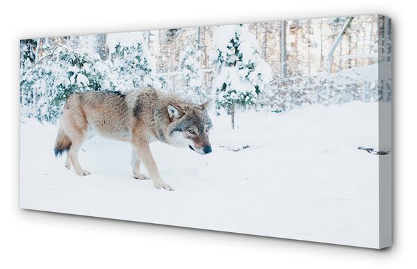 Tablouri canvas pădure de iarnă Wolf