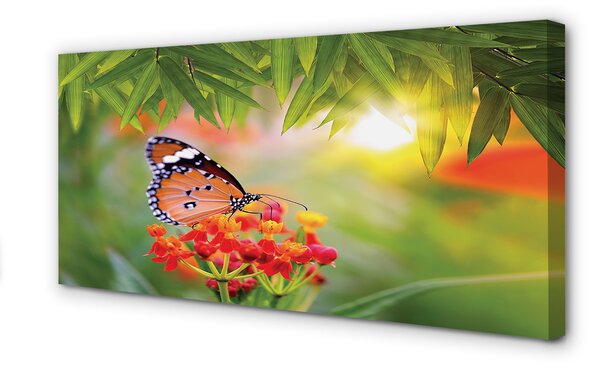 Tablouri canvas flori colorate fluture