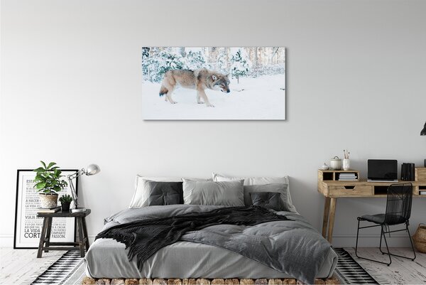 Tablouri canvas pădure de iarnă Wolf