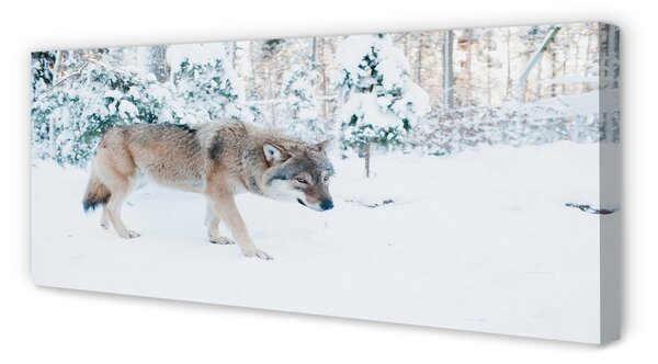 Tablouri canvas pădure de iarnă Wolf
