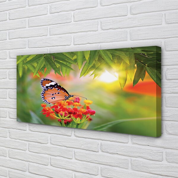 Tablouri canvas flori colorate fluture