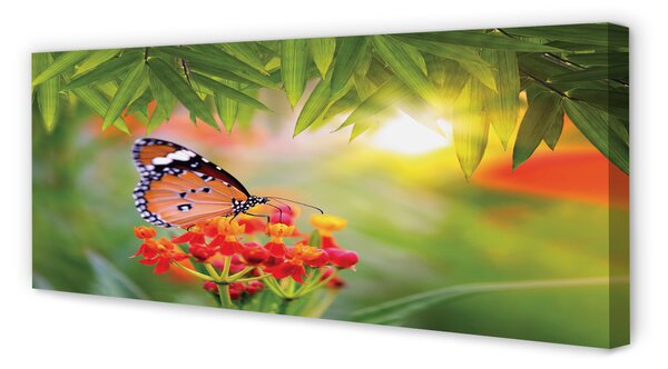 Tablouri canvas flori colorate fluture