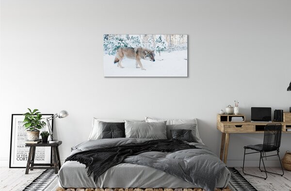Tablouri canvas pădure de iarnă Wolf