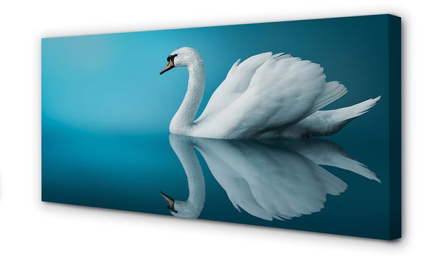 Tablouri canvas Swan în apă
