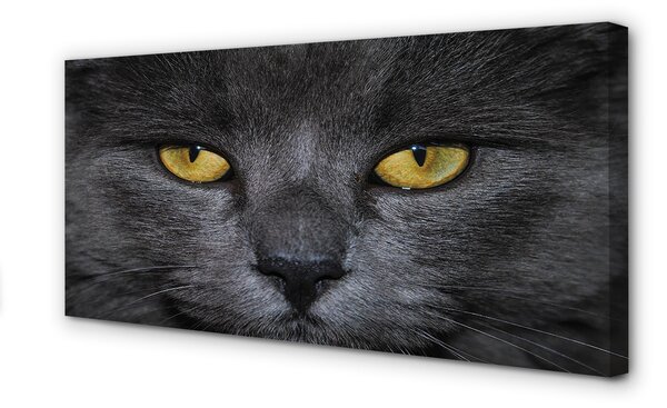 Tablouri canvas Pisica neagra