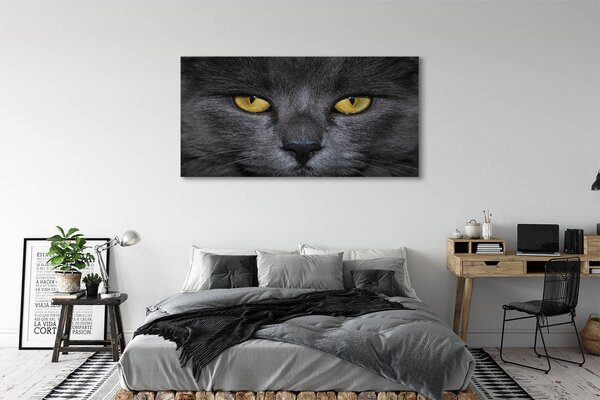 Tablouri canvas Pisica neagra