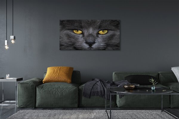 Tablouri canvas Pisica neagra