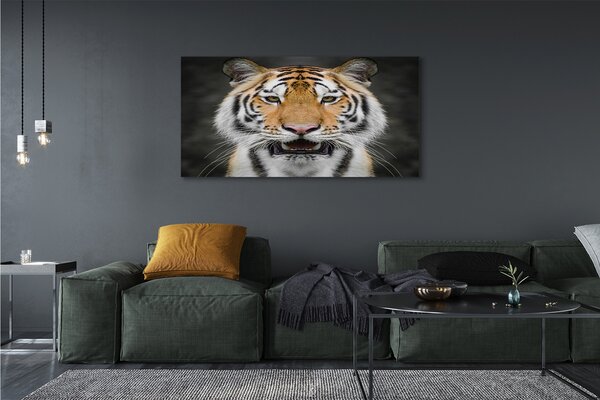 Tablouri canvas Tigru