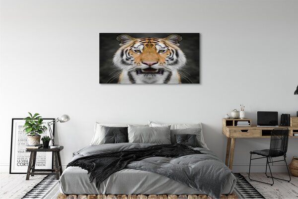 Tablouri canvas Tigru