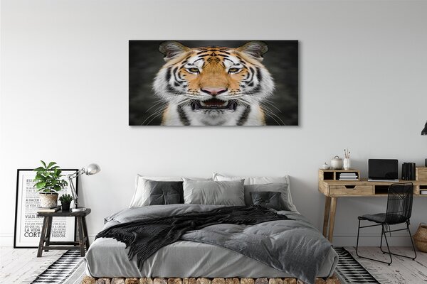 Tablouri canvas Tigru