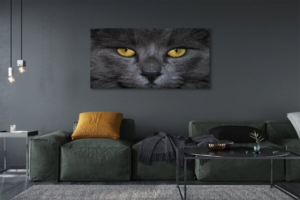 Tablouri canvas Pisica neagra