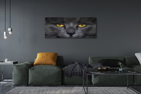 Tablouri canvas Pisica neagra